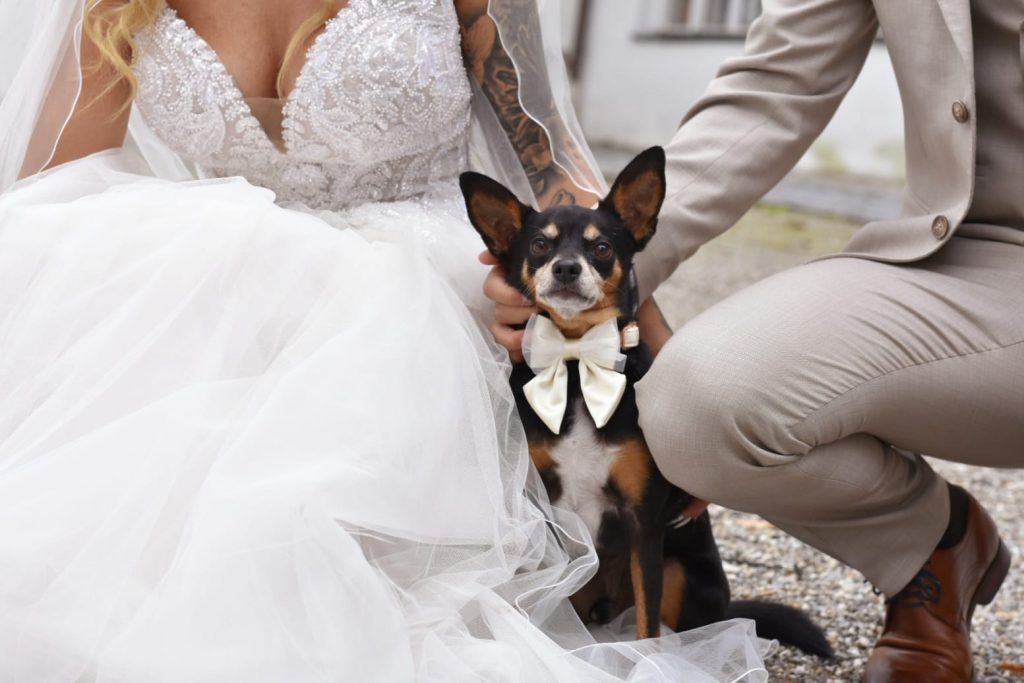 WhatsApp-Image-2022-10-18-at-19.13.49-1