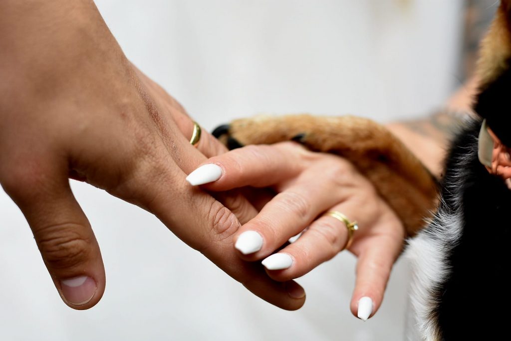 WhatsApp Image 2022-10-18 at 19.13.50 (6)