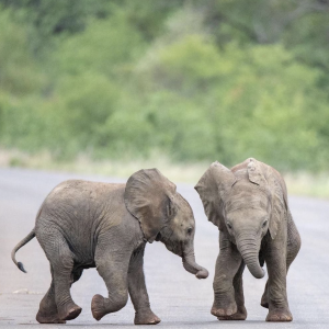 Bildschirmfoto 2023-04-12 um 16.24.13