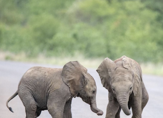 Bildschirmfoto 2023-04-12 um 16.24.13