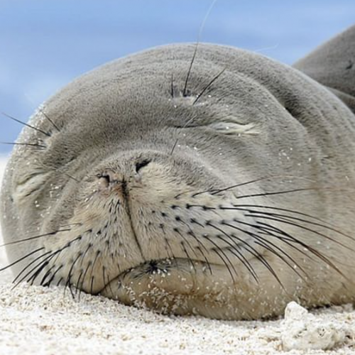 Bildschirmfoto 2023-04-12 um 16.25.21