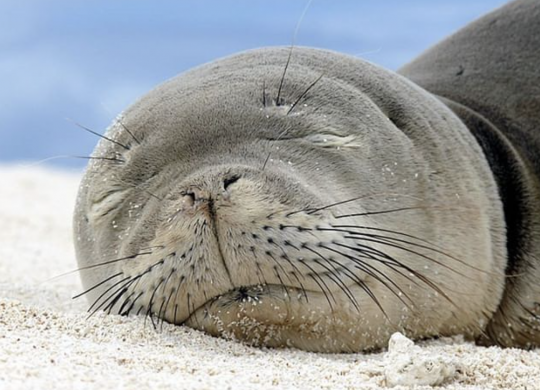 Bildschirmfoto 2023-04-12 um 16.25.21