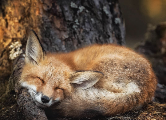 Bildschirmfoto 2023-04-12 um 16.25.39