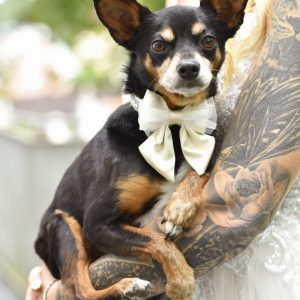 WhatsApp Image 2022-10-18 at 19.13.50 (1)